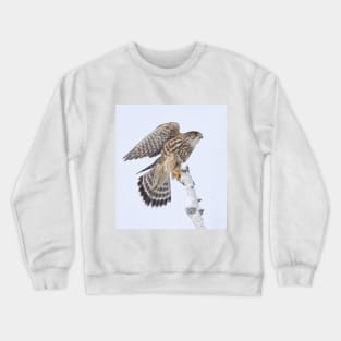 Merlin Crewneck Sweatshirt